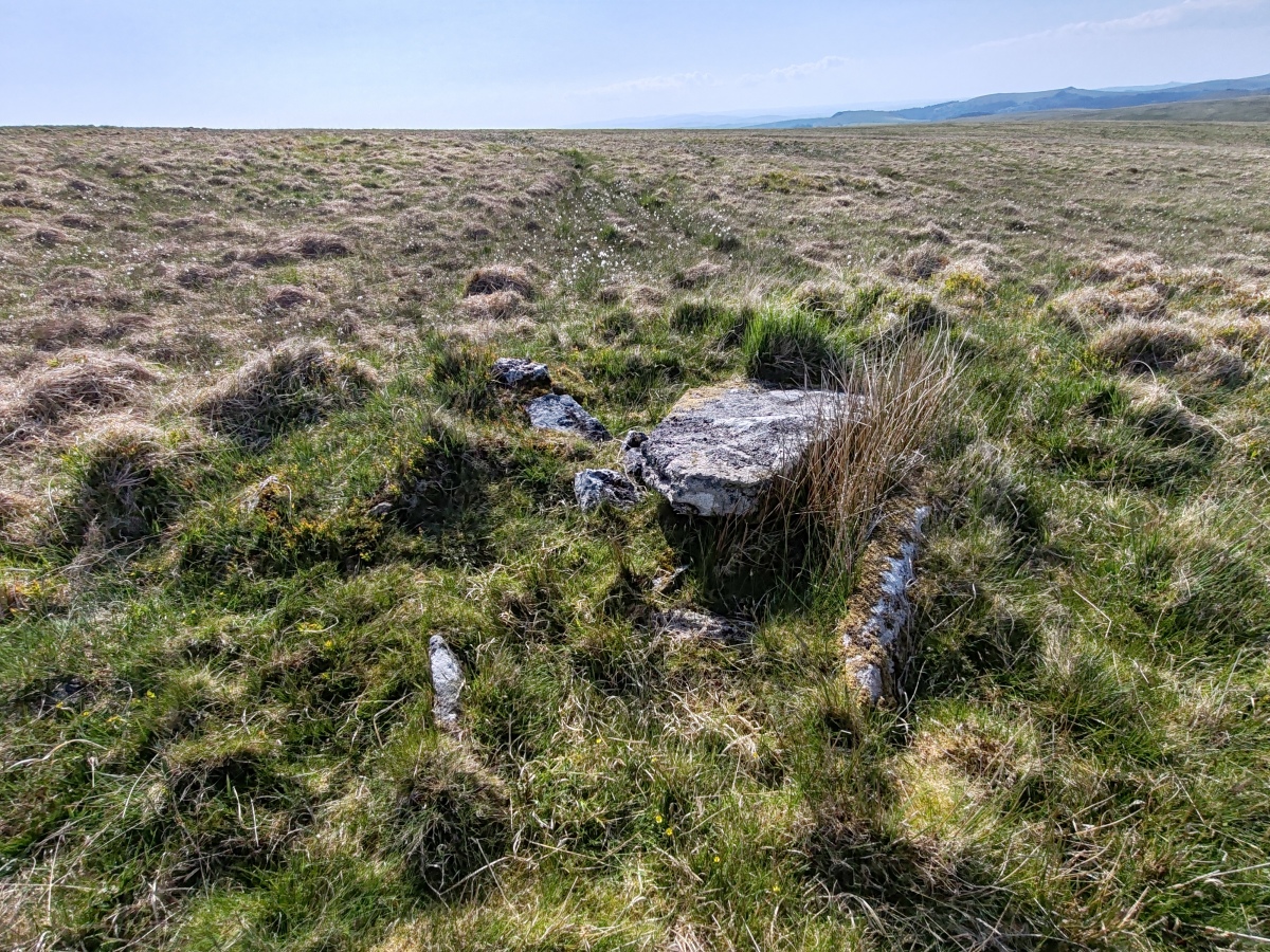 Click for full size image of Langcombe South (PID:290789) Langcombe South