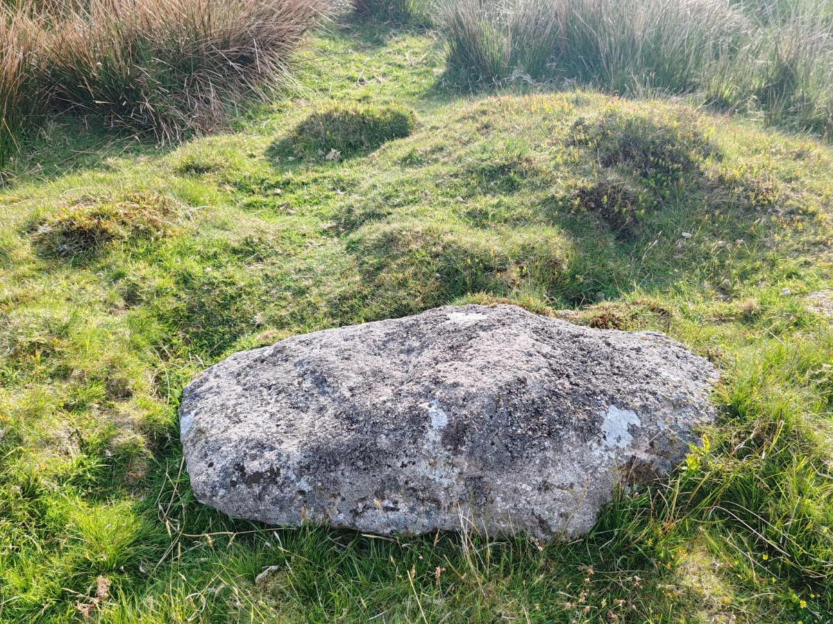 Click for full size image of Deadman's Bottom F (PID:290803) Deadman's Bottom F