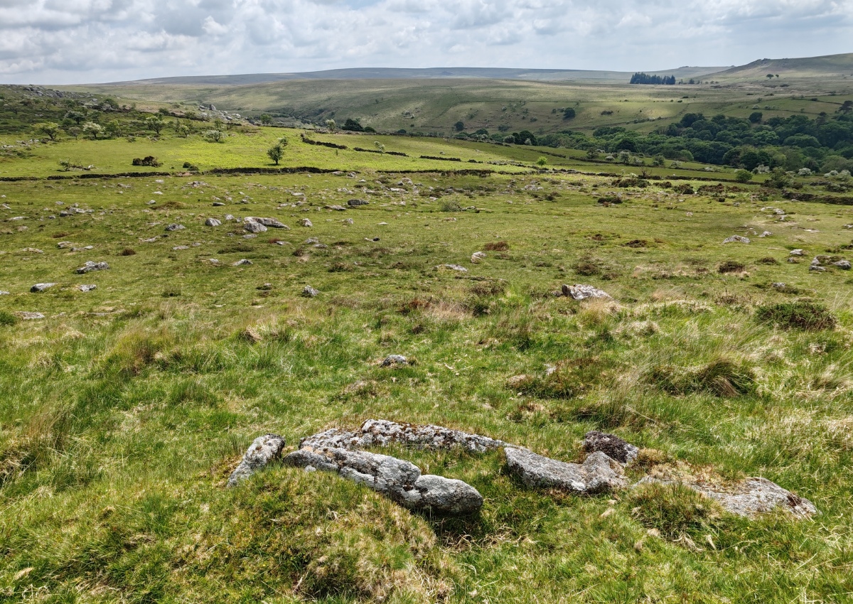 Click for full size image of Down Tor Cist (PID:290954) Down Tor Cist