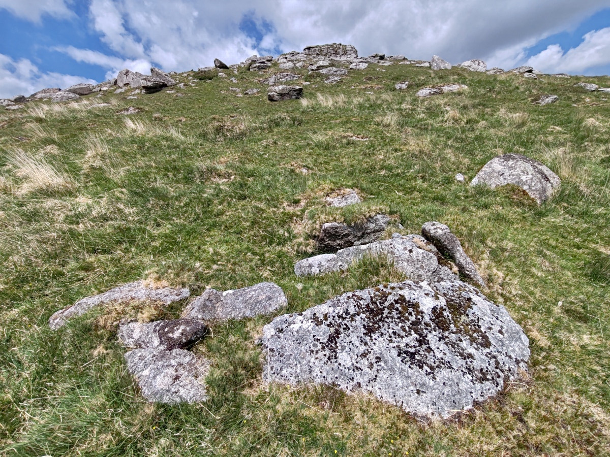 Click for full size image of Down Tor Cist (PID:290953) Down Tor Cist