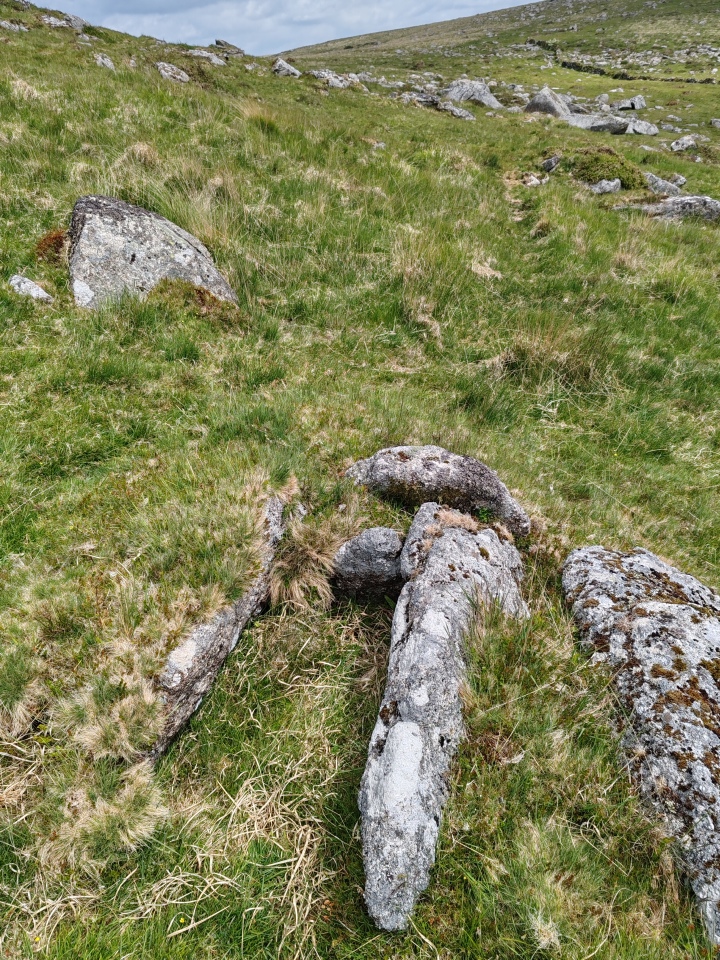Click for full size image of Down Tor Cist (PID:290952) Down Tor Cist