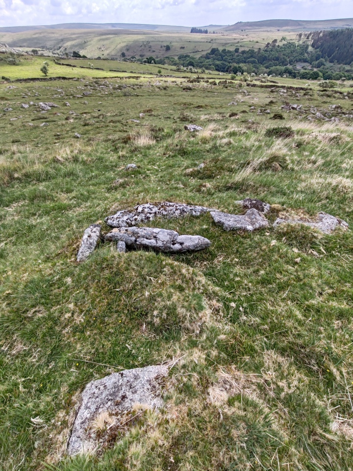 Click for full size image of Down Tor Cist (PID:290950) Down Tor Cist