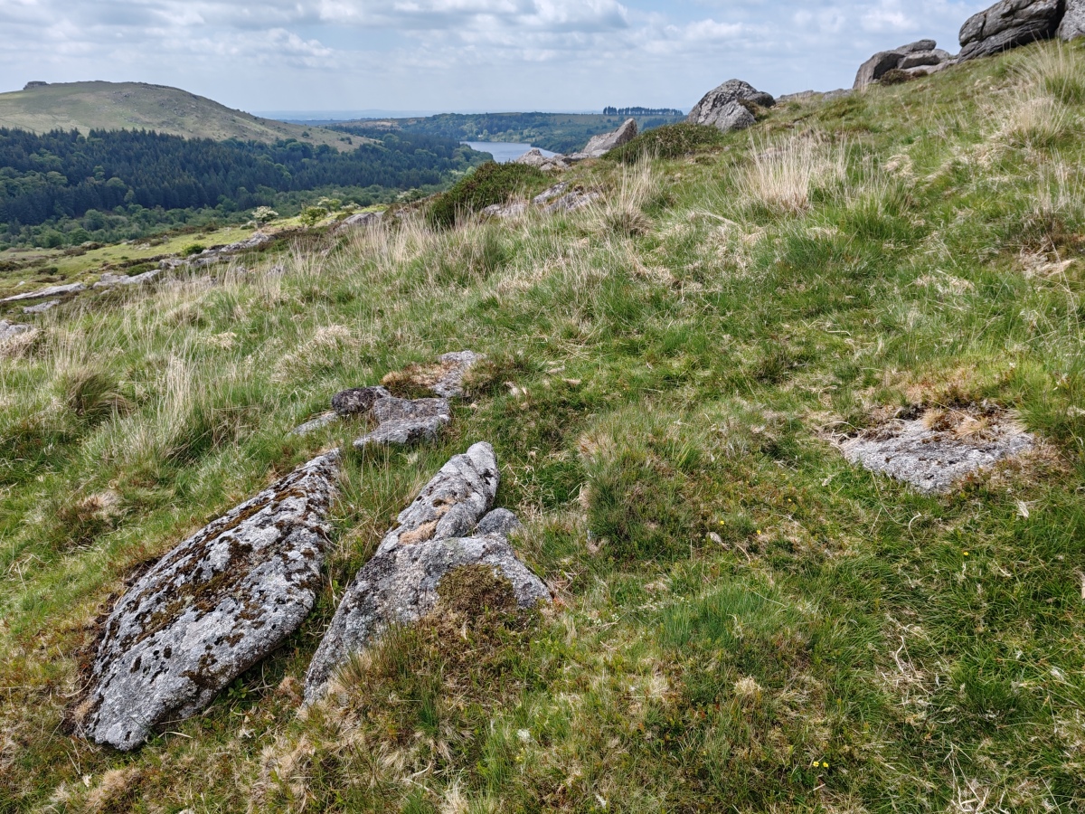 Click for full size image of Down Tor Cist (PID:290951) Down Tor Cist
