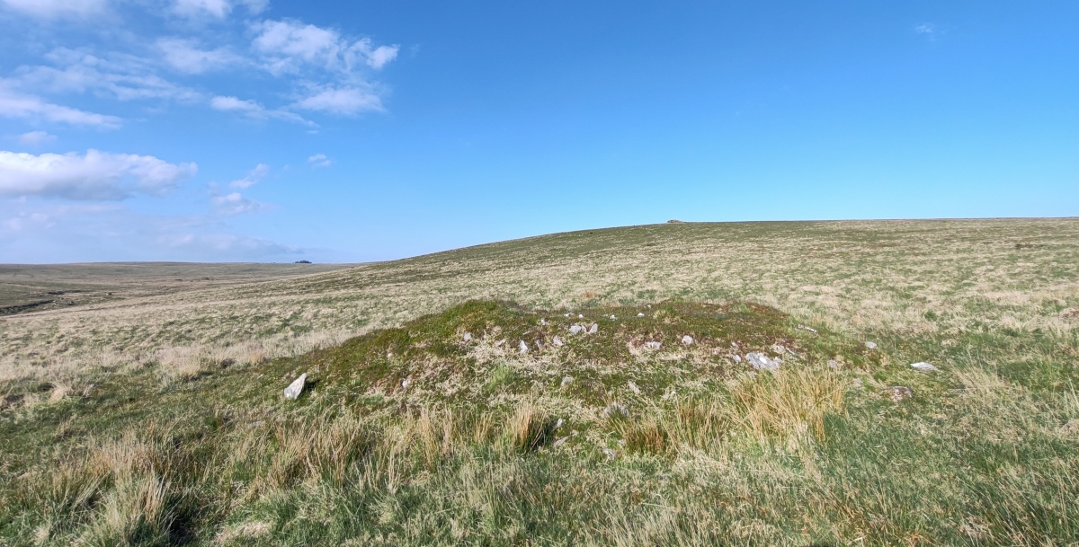 Raddick Hill Cist