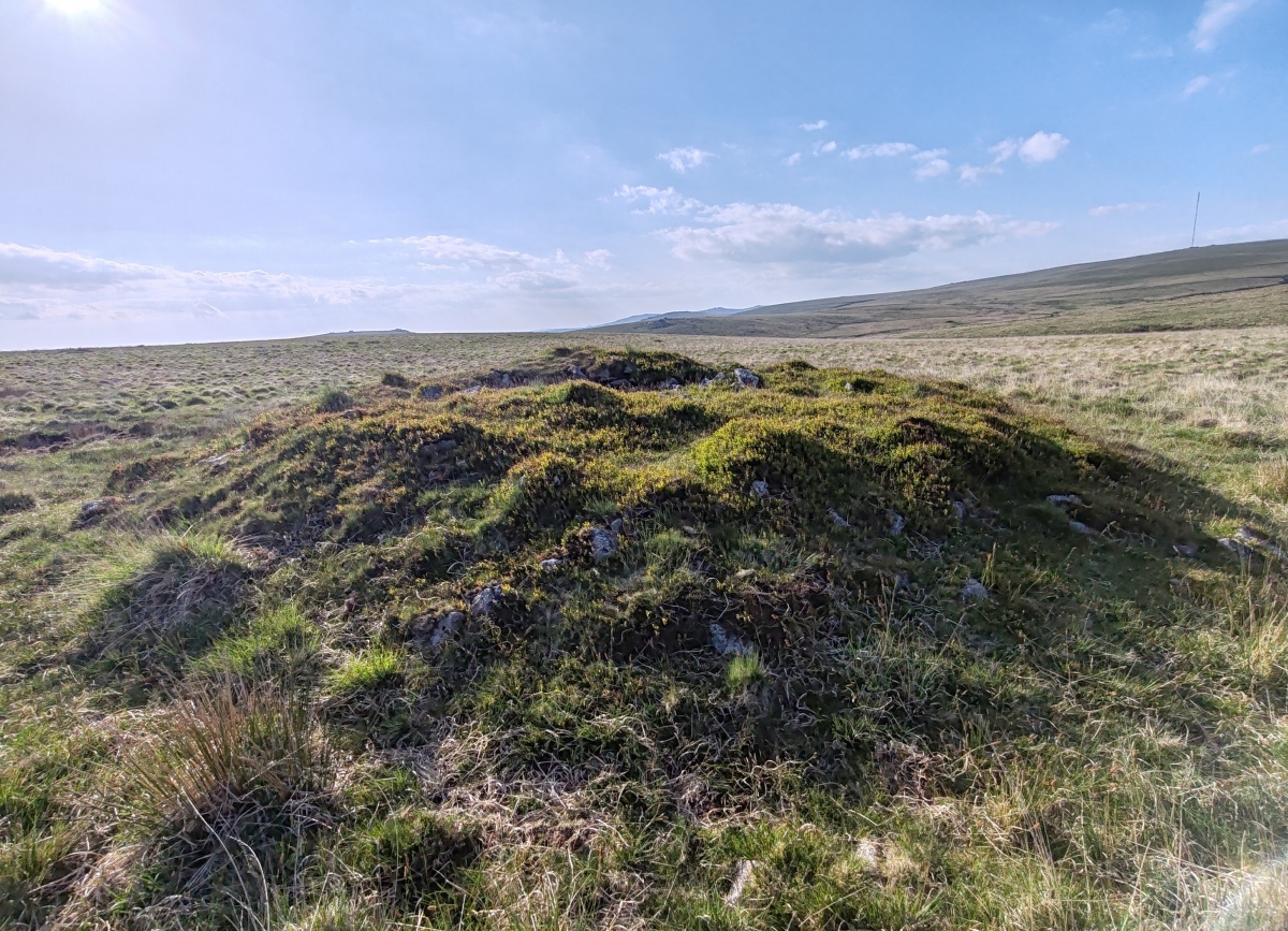 Raddick Hill Cist
