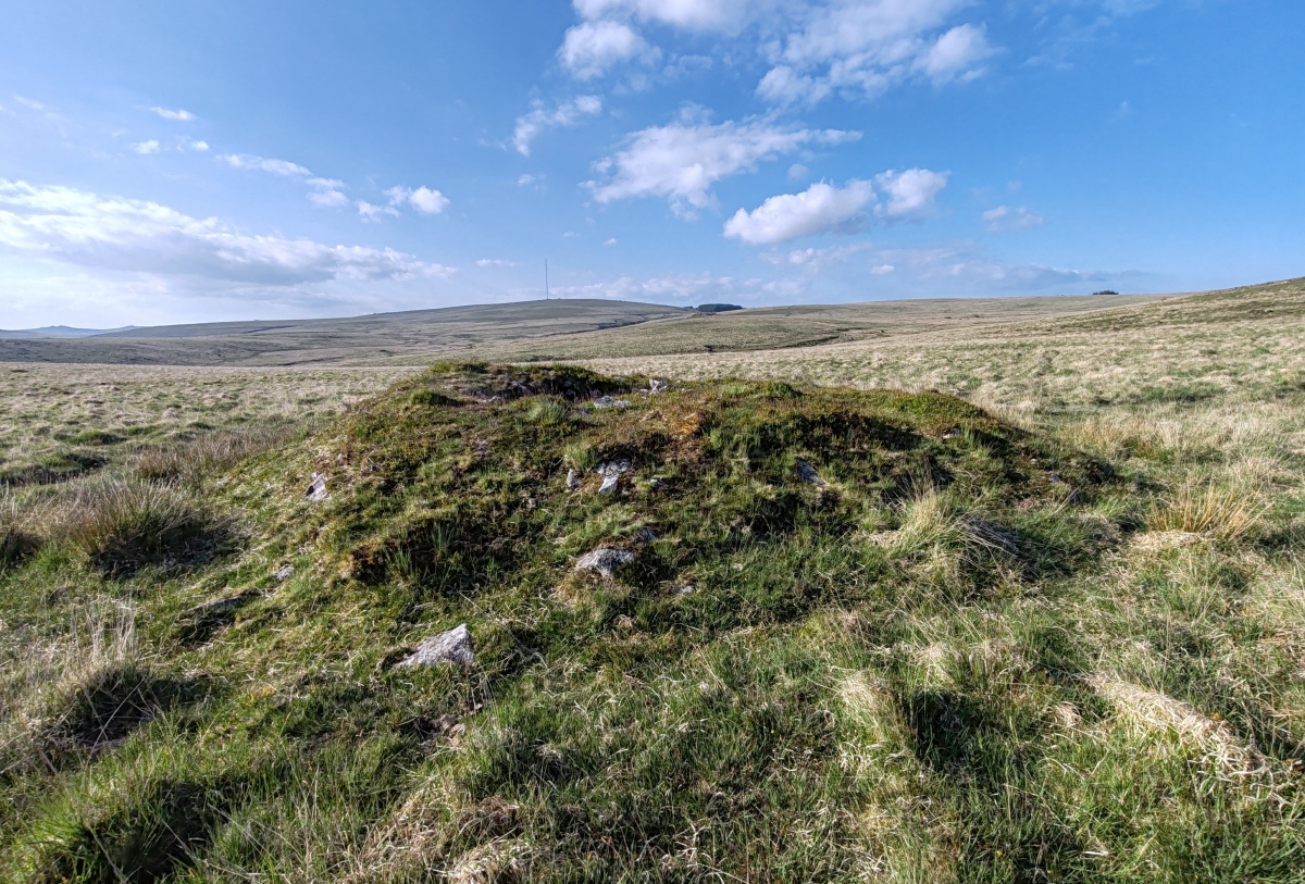 Raddick Hill Cist