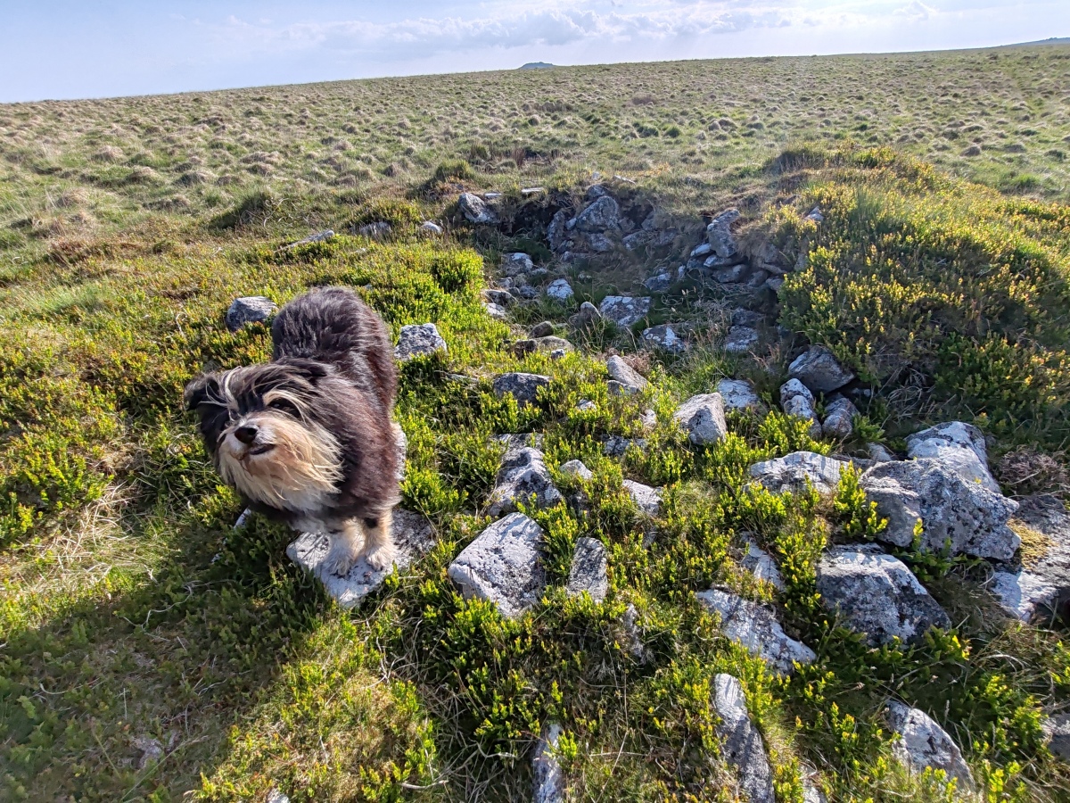 Raddick Hill Cist