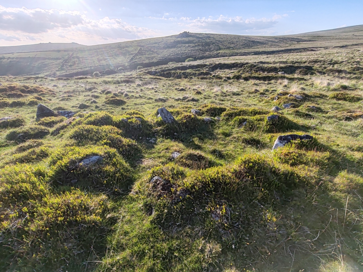 Click for full size image of Raddick Hill North (PID:291111) Raddick Hill North