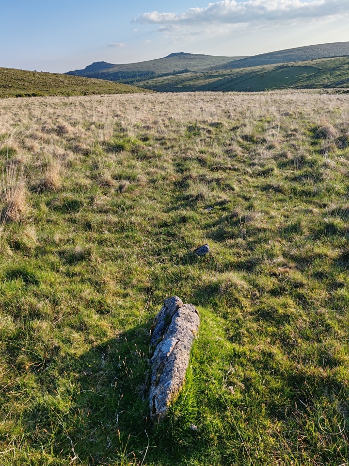 Click for full size image of Hart Tor south row (PID:291135) Hart Tor south row