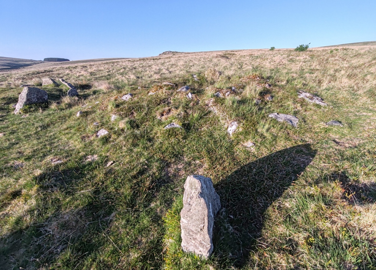 Click for full size image of Hart Tor south row (PID:291134) Hart Tor south row