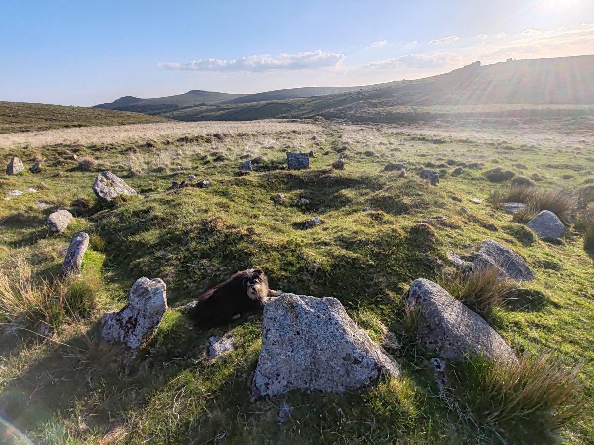 Hart Tor North circle