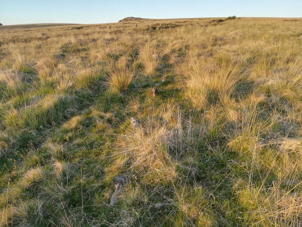 Click for full size image of Hart Tor south row (PID:291136) Hart Tor south row