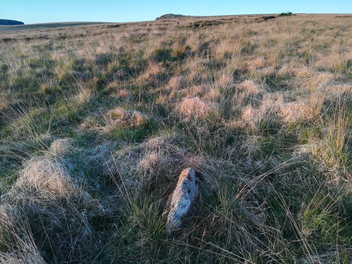 Click for full size image of Hart Tor south row (PID:291133) Hart Tor south row