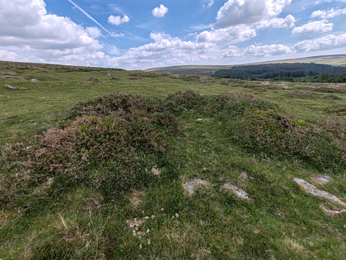 Leeden Tor South Cairn