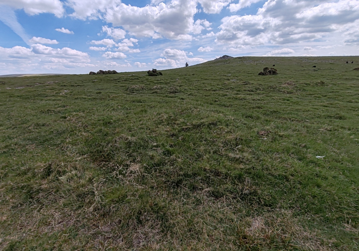 Click for full size image of Sharpitor NW double row (PID:291519) Sharpitor NW double row