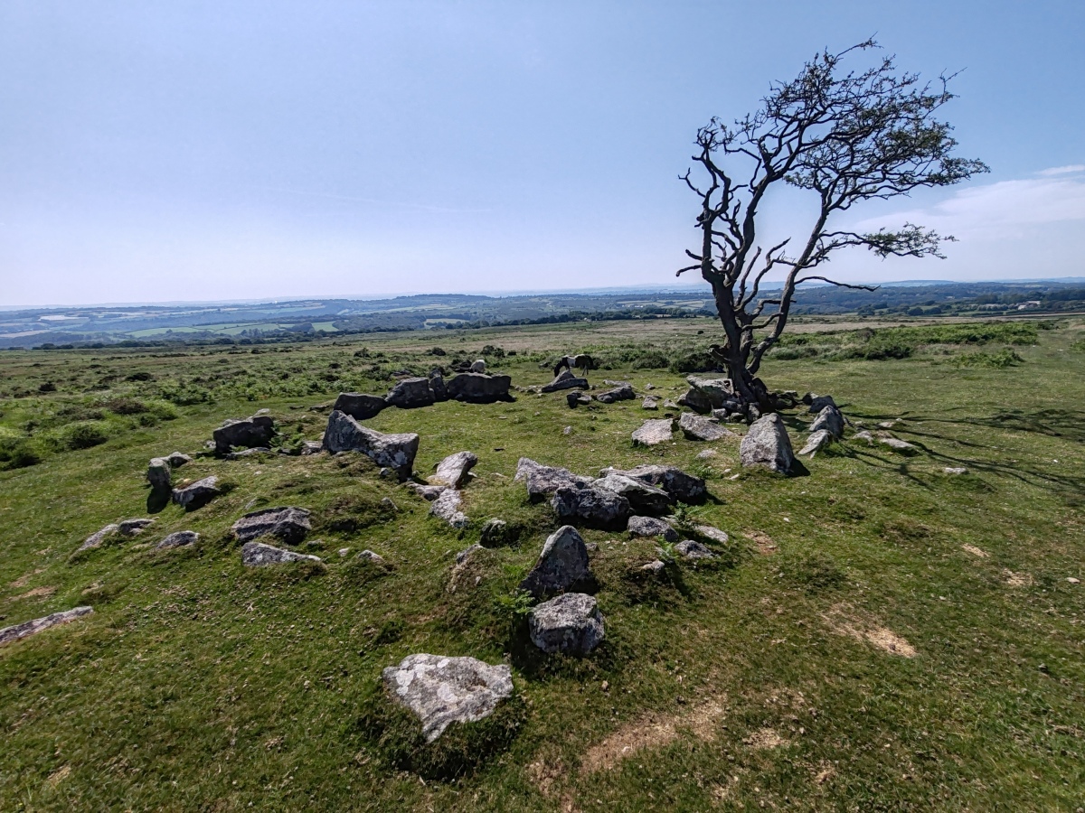 Wigford Down Settlement