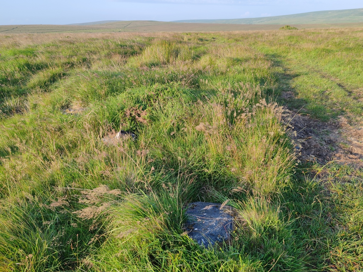 Click for full size image of Ringmoor Down Cairn 4 (PID:292522) Ringmoor Down Cairn 4