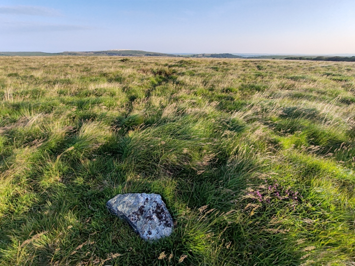 Click for full size image of Ringmoor Down Cairn 4 (PID:292523) Ringmoor Down Cairn 4