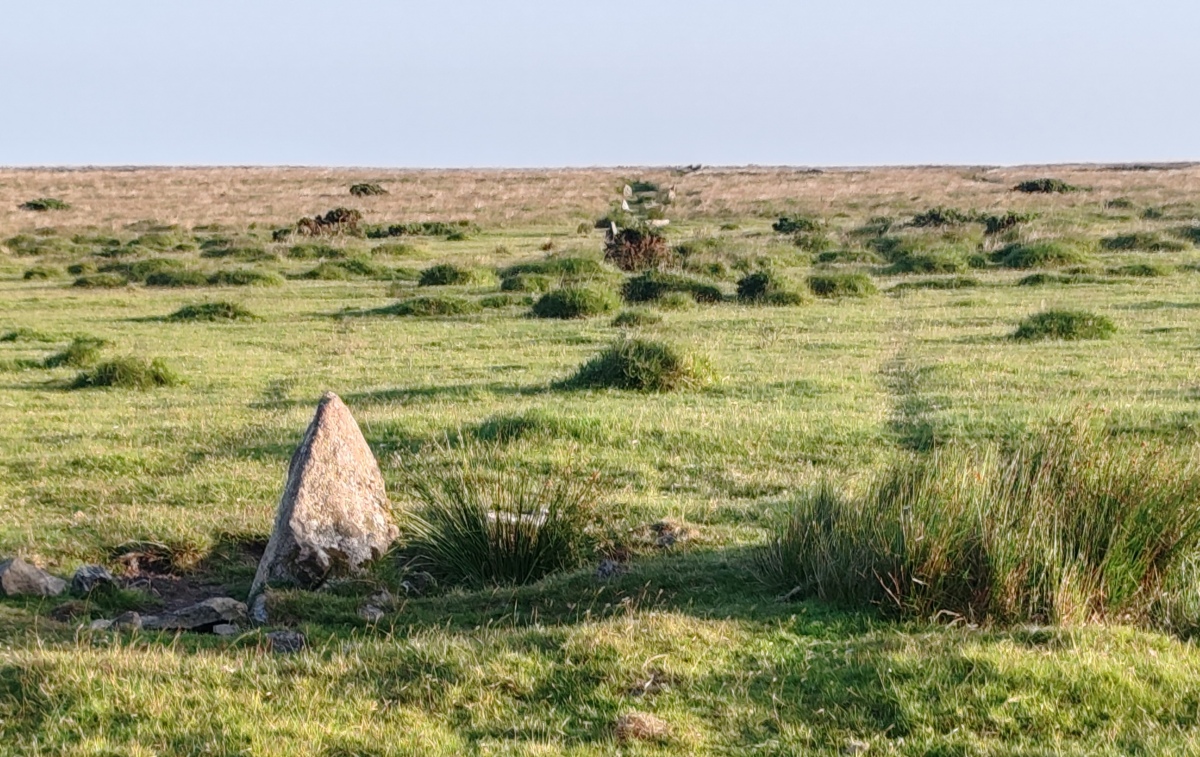 Click for full size image of Ringmoor Down Stone Row (PID:292528) Ringmoor Down Stone Row