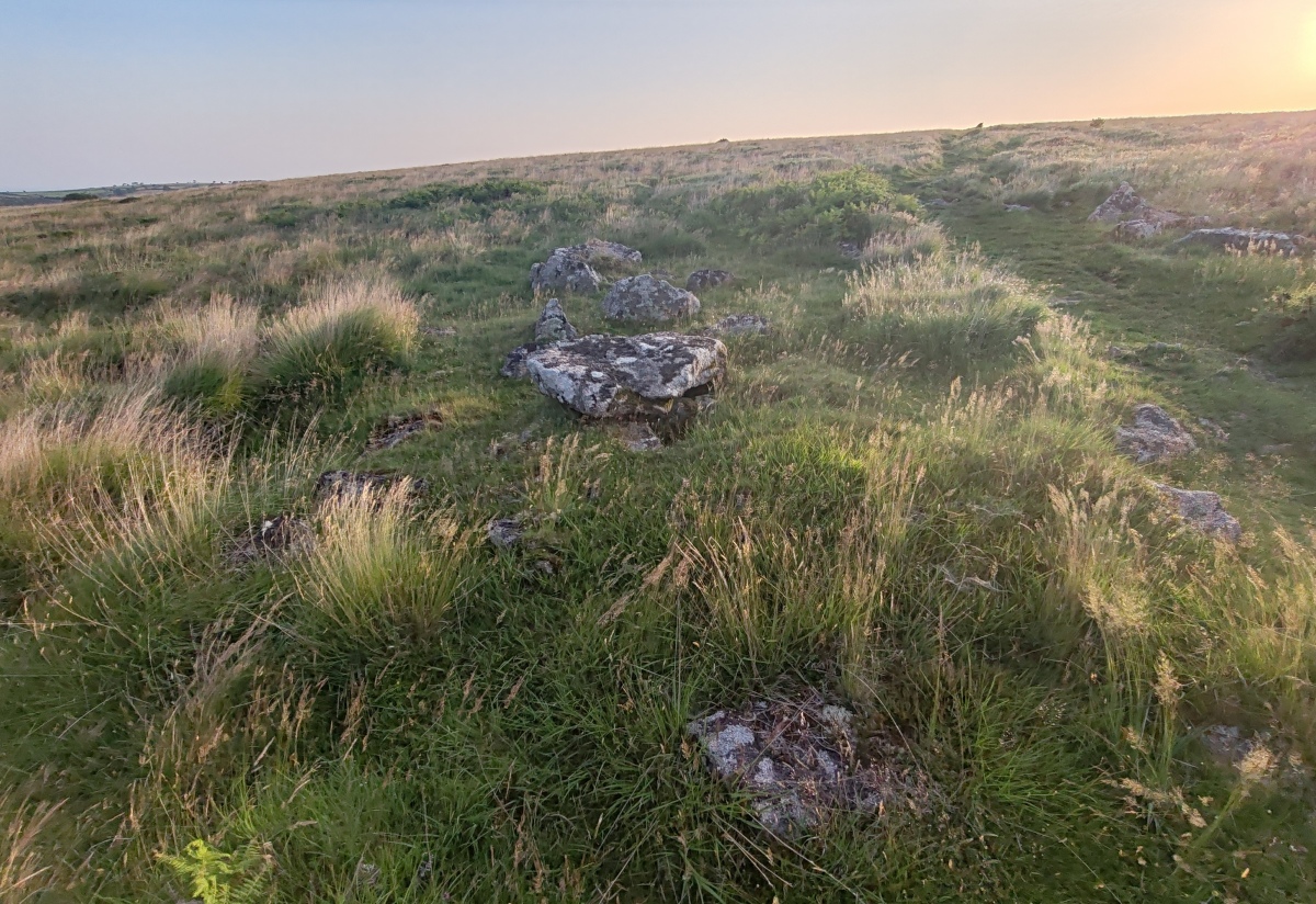 Click for full size image of Ringmoor Down Cairn 2 (PID:292378) Ringmoor Down Cairn 2