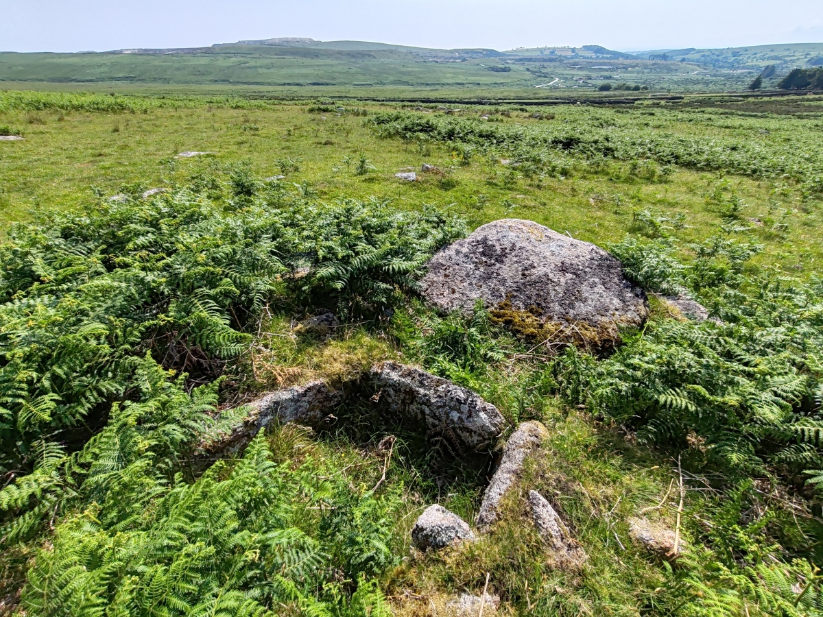 Trowlesworthy Warren