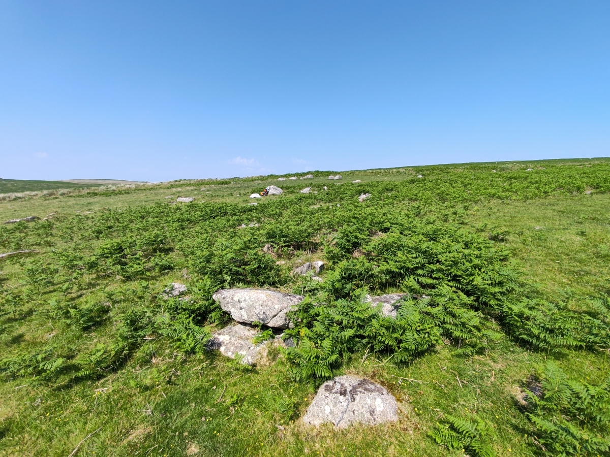 Trowlesworthy Warren