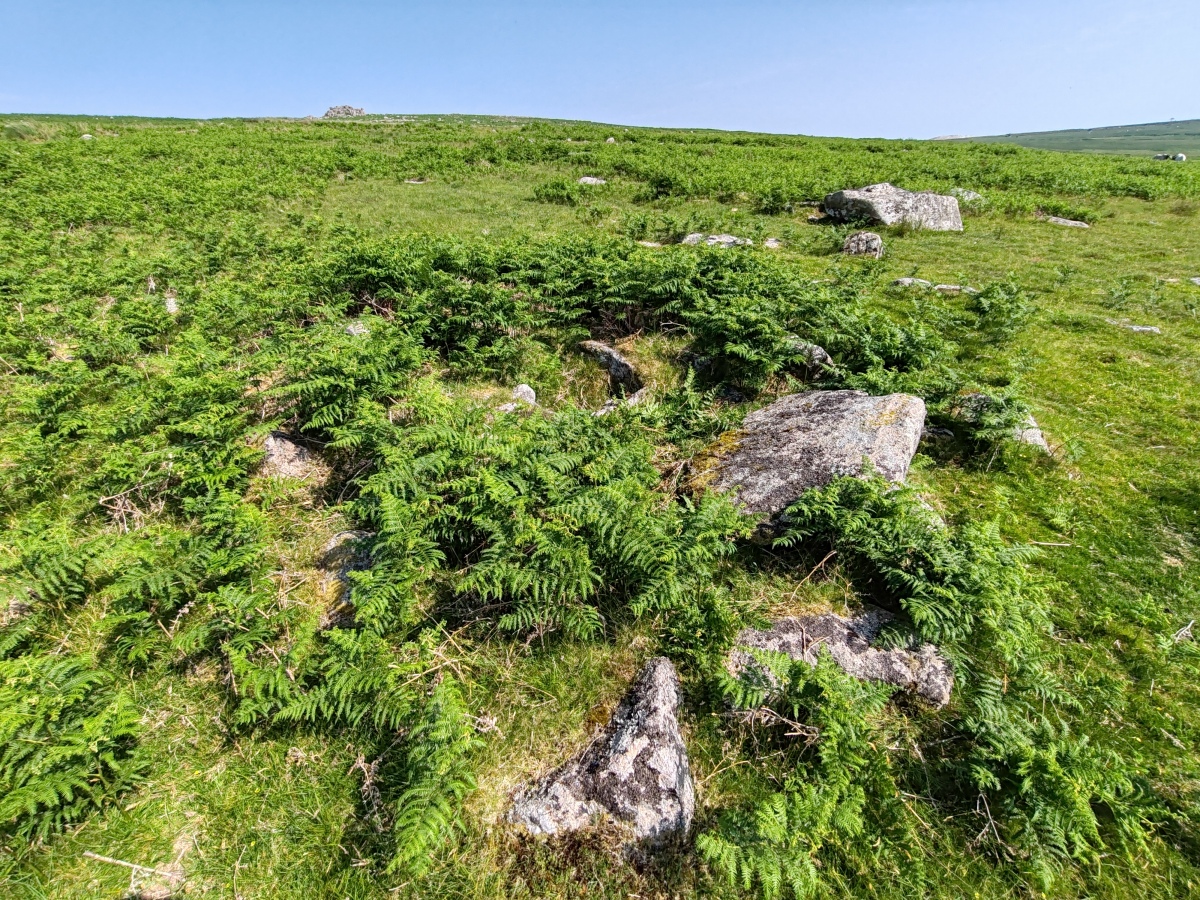 Trowlesworthy Warren
