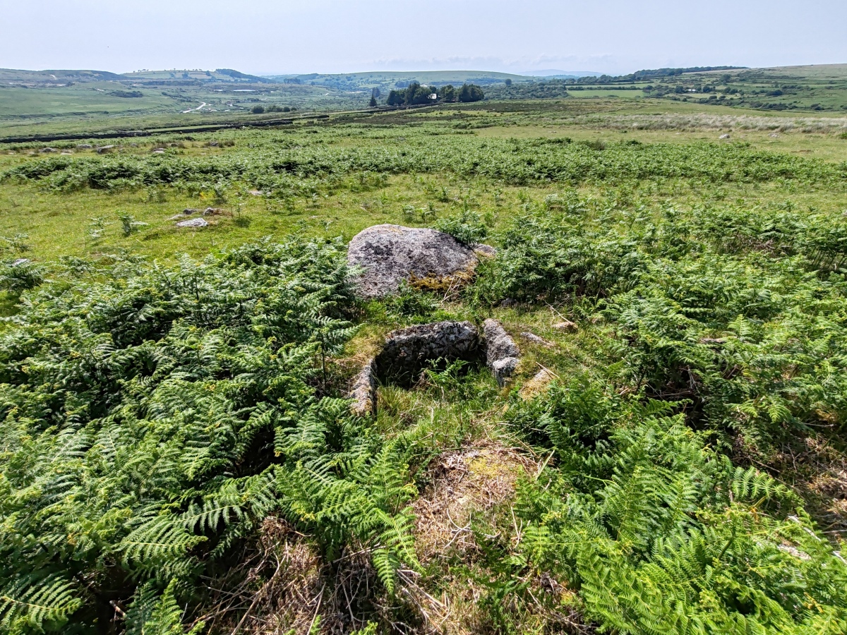 Trowlesworthy Warren
