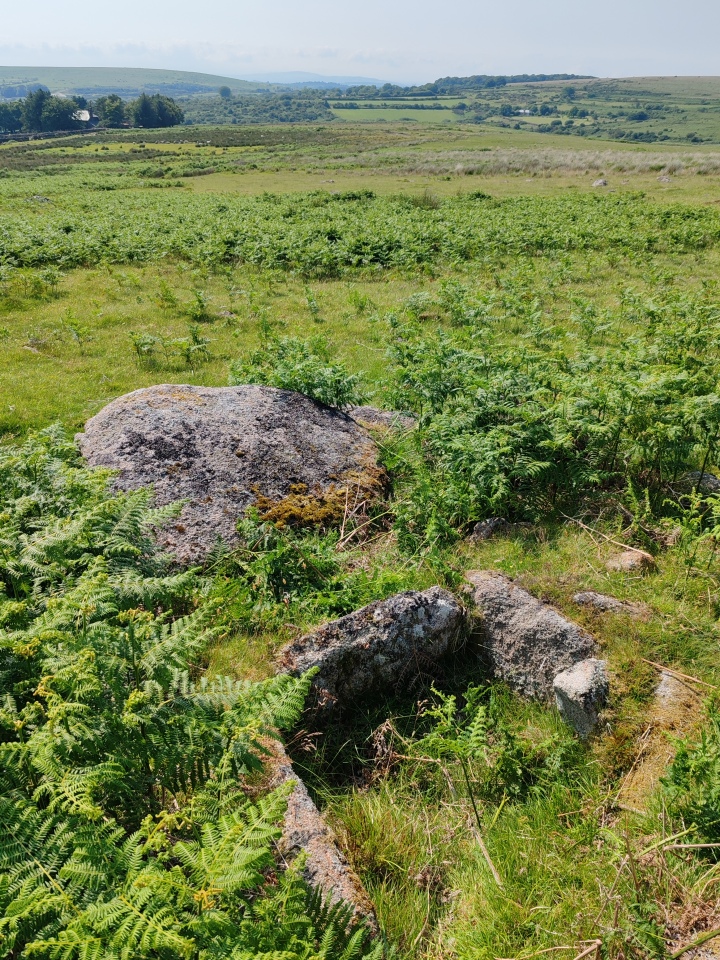 Trowlesworthy Warren