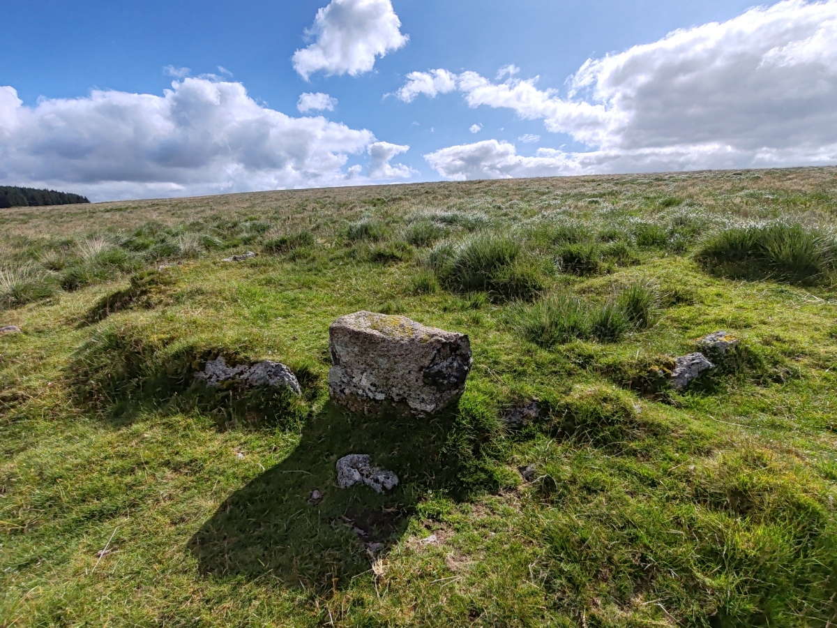Click for full size image of Hart Tor North ring cairn (PID:292341) Hart Tor North ring cairn