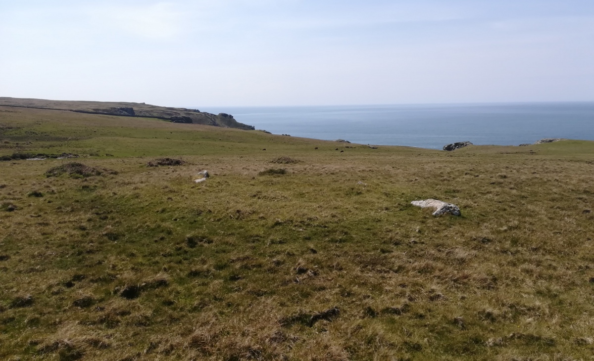 Tibbett's Hill Cairn Circles