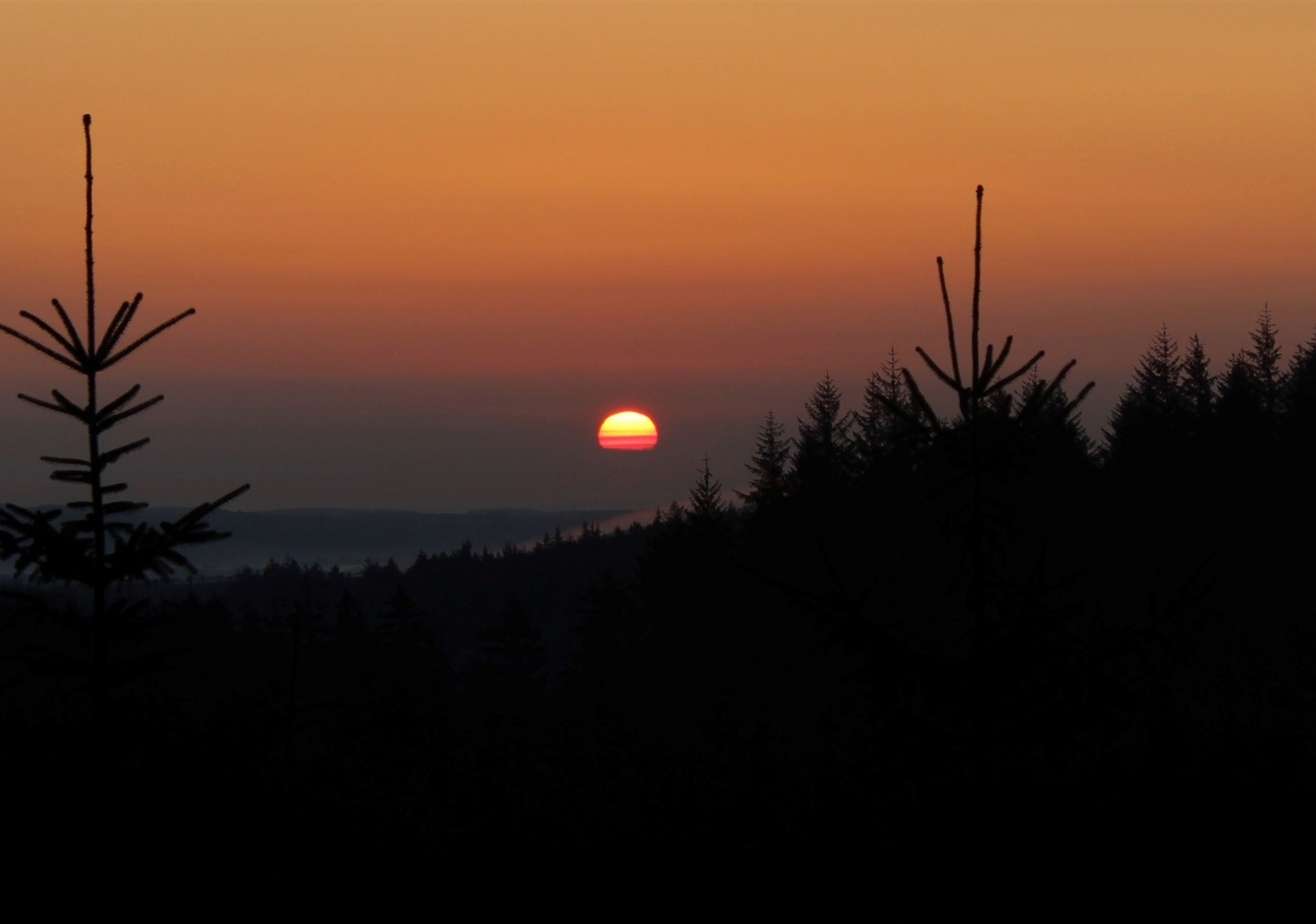 The Equinox sun rise gets the jump on me once more. Rather than standing in amazement at the Greywethers im here lost in the forest. Amateur!