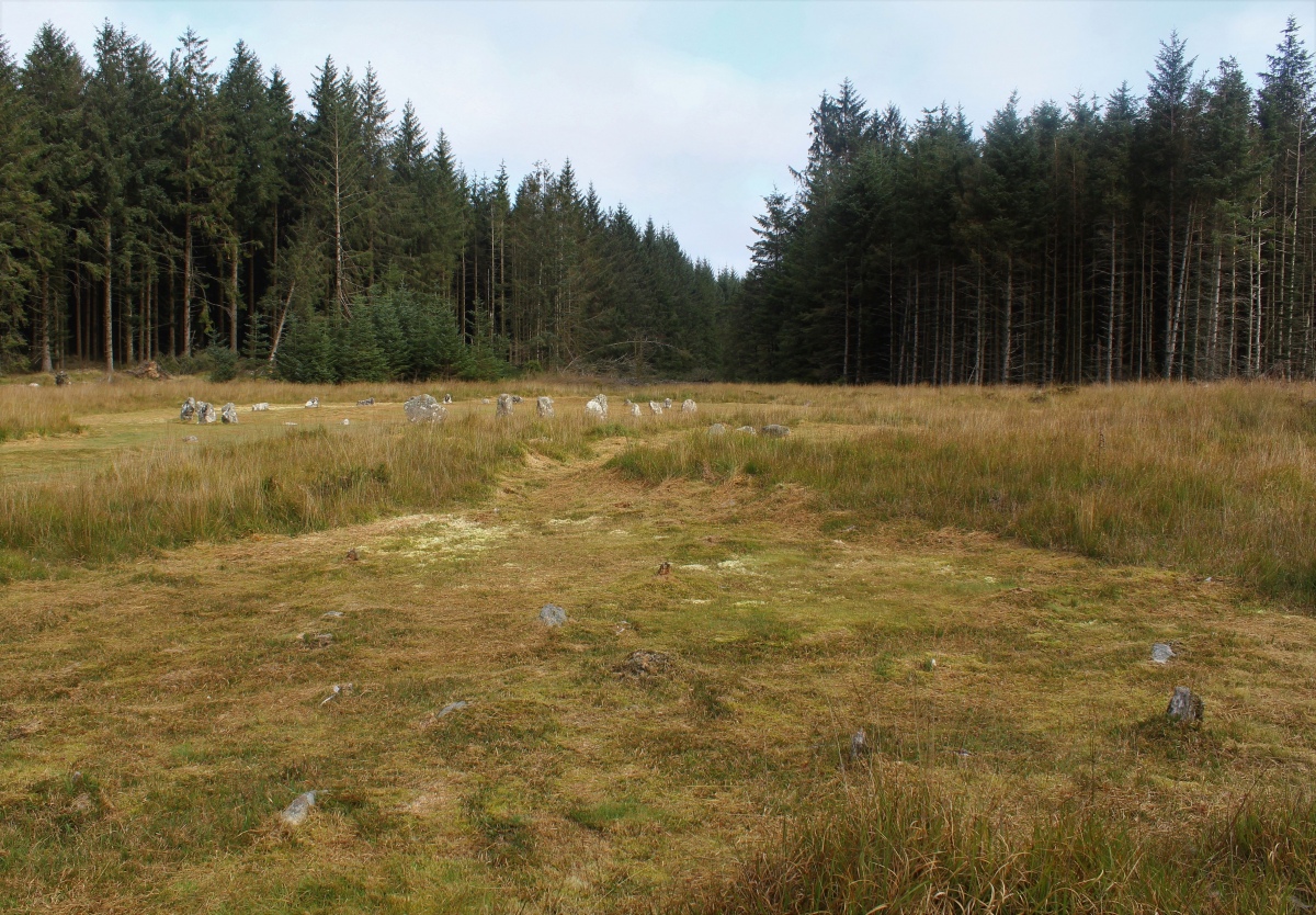 Fernworthy stone row SE 