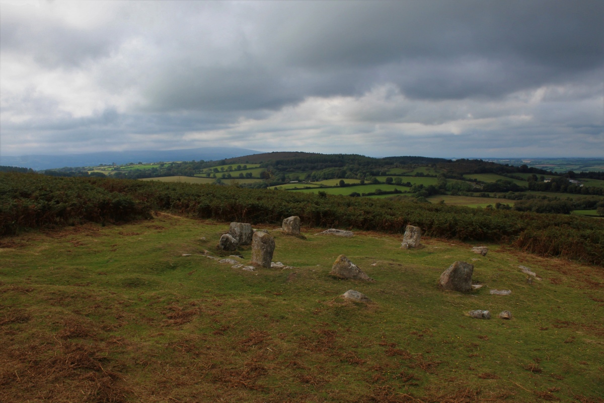 Mardon Down N