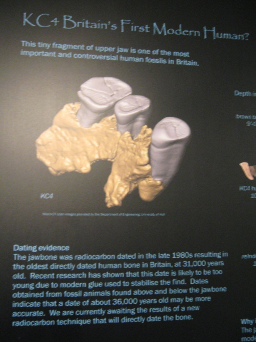 The information that [in June 2010] accompanied the display of the tiny piece of jawbone featured in the news item of 6th Nov 2011.
