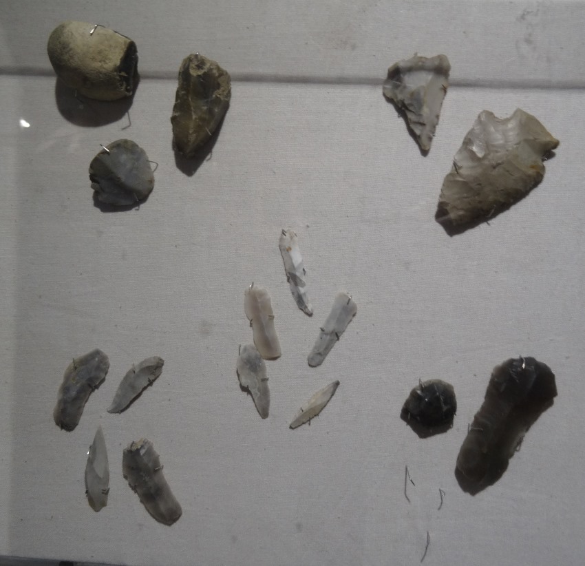 Flint tools in a case by the Knowle Castle excavation info board.