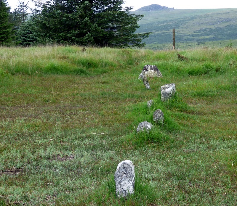 Despite being relatively short the row is far from straight but seems to focused on Longaford Tor on the horizon.