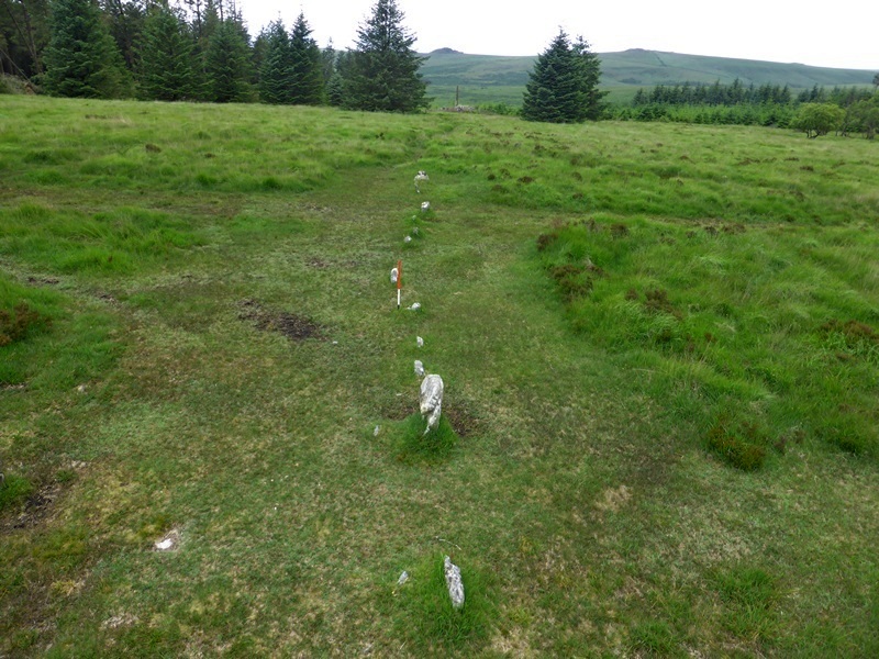 View from above and the east. The sinuous character of the row is clearly discernible. 