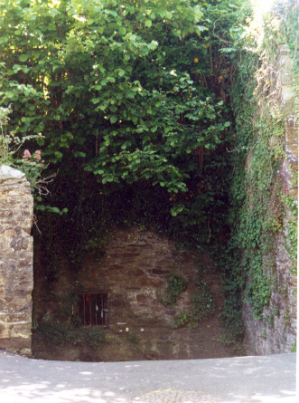 Difficult to photograph from any distance because of the slope of the lane, and the depth of the well from the road. (I'm standing opposite, on the bend of the lane as it goes downhill.) This shows the width and height of the entrance, and the canopy of trees. A manhole cover is in centre foreground. A morning photograph would cast more light into the well itself, but I was here on afternoon of 3 