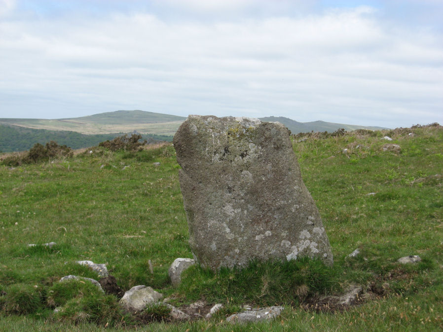 The Leedon Hill Standing stone, submitted on behalf of Prehistoric Dartmoor Walks.