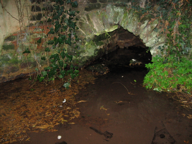 Looking down at the water of Libbett's Well.
[28.09.2011]