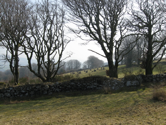 Approaching the field from NW.  Circle lies on quite a steep slope.