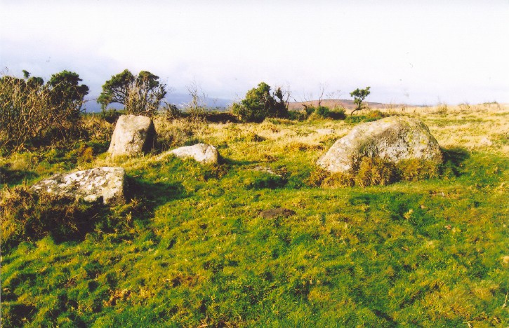 Click for the gallery page to add comments and vote (PID:44035) Mardon Down S