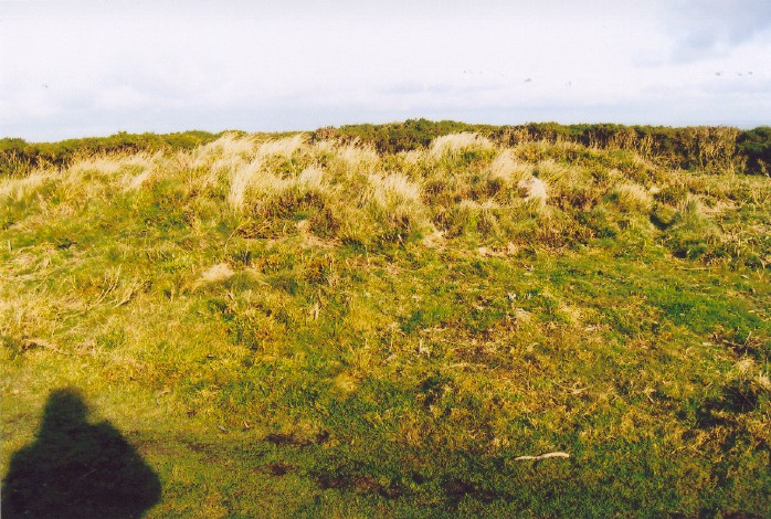Cairn 3 looking East.  The one stone still visible is just seen as a white blob [above, and in line with, horizontal stick in right foreground].