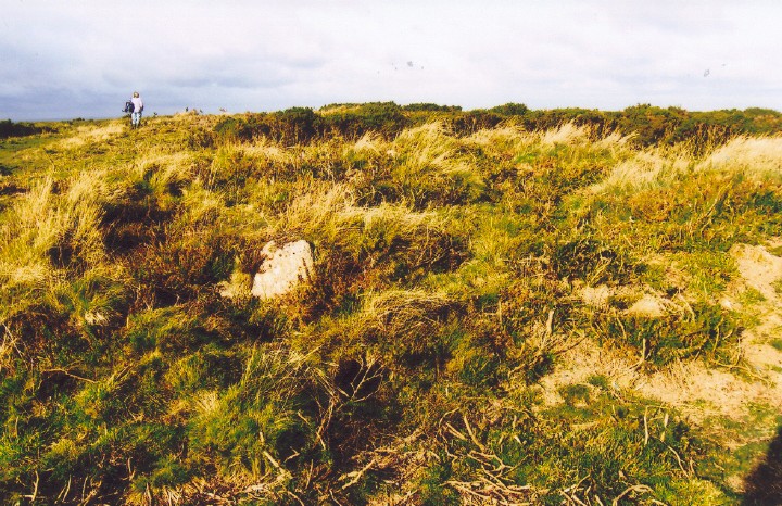 Click for the gallery page to add comments and vote (PID:44079) Mardon Down Cairn 3