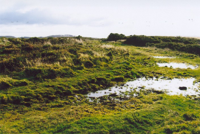 Click for the gallery page to add comments and vote (PID:44076) The Giant's Grave Mardon Down