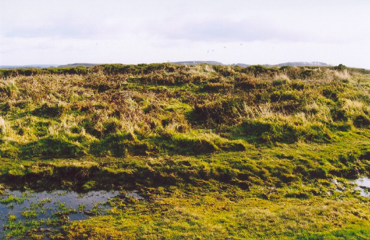 Click for the gallery page to add comments and vote (PID:44077) The Giant's Grave Mardon Down