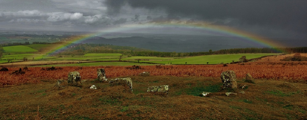Click for the gallery page to add comments and vote (PID:146576) Mardon Down N