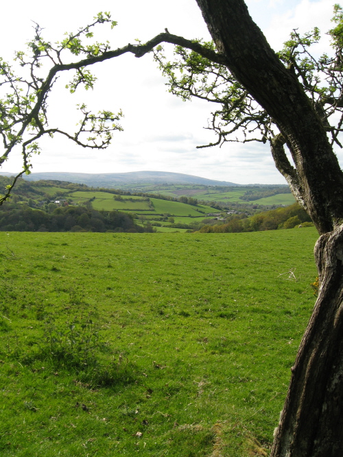 Meacombe Cist Landscape