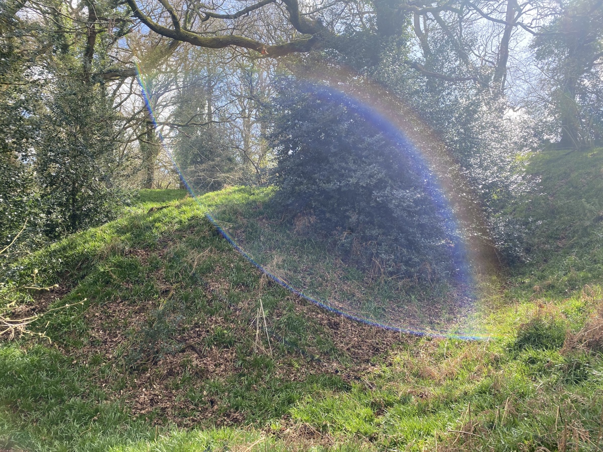 Mincimore Copse Tumulus